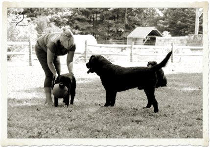 boonfield (5)