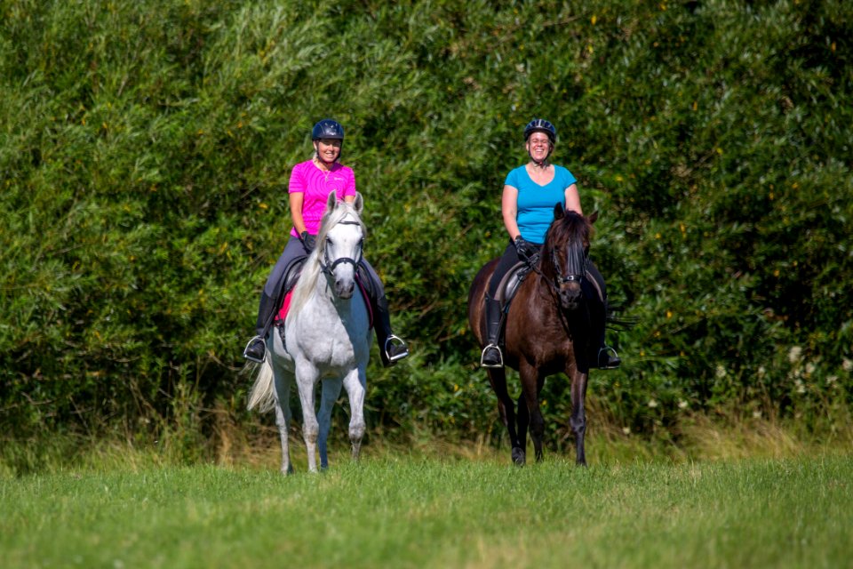 Dsche-Renn 20166987