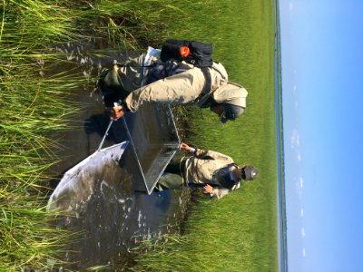 Nekton Monitoring (NPS Photo, Daniel Cole)