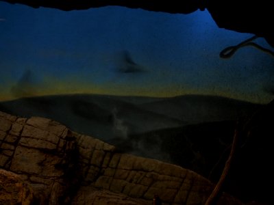 Bat Cave [4280088]