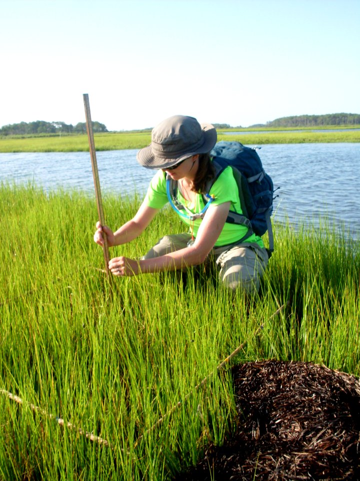 Vegetation Monitoring (NPS Photo)