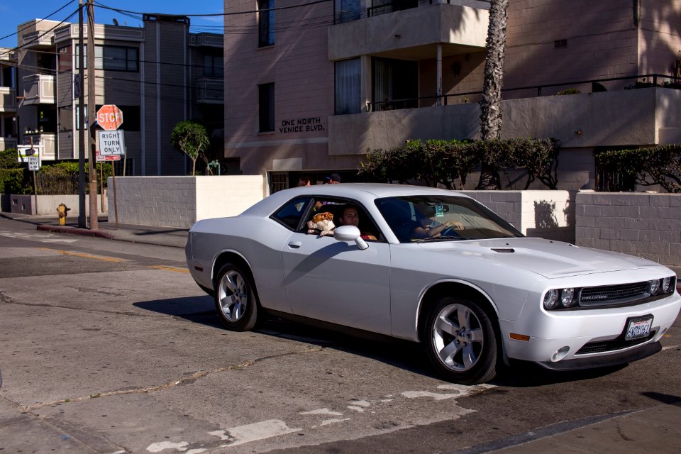 Dodge