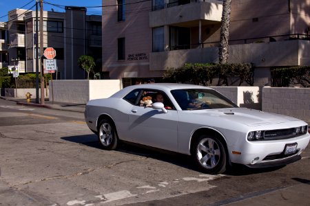 Dodge