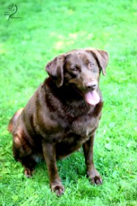 boonfield (49)
