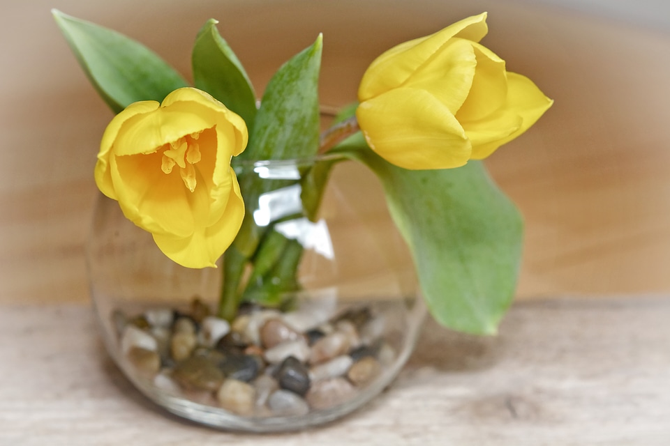 Yellow flower spring flower vase