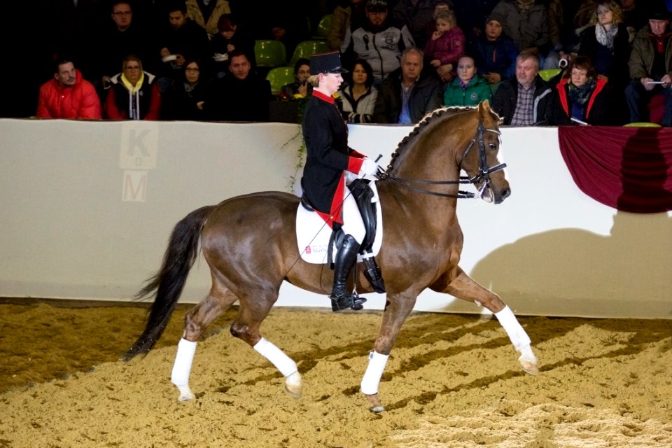 SirNymphenburg 20164177