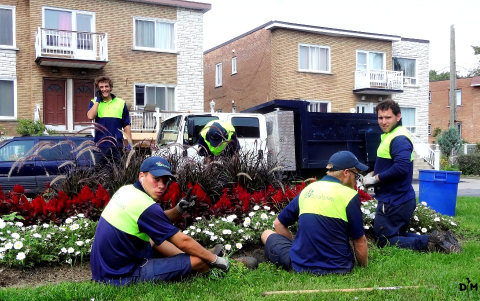 New Work in the New World - Planting Flowers