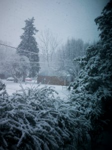 February snow storm