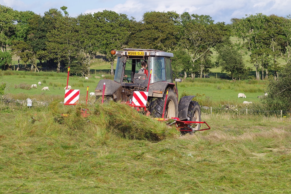Summer rural machine