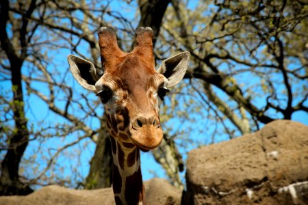 Philadelphia Zoo