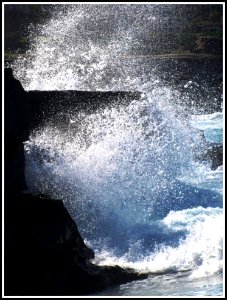 Wild Pacific Waves in La Jolla photo
