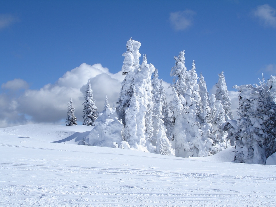 Tree ice mountain