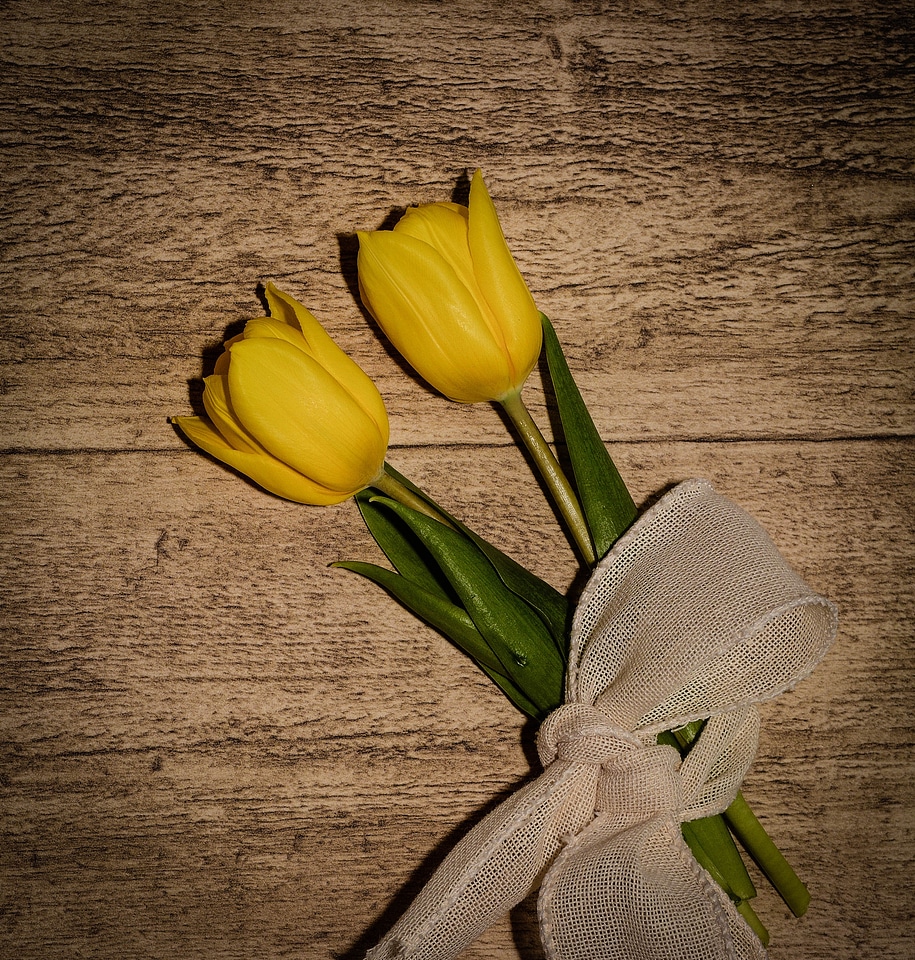 Cut flowers spring flowers loop