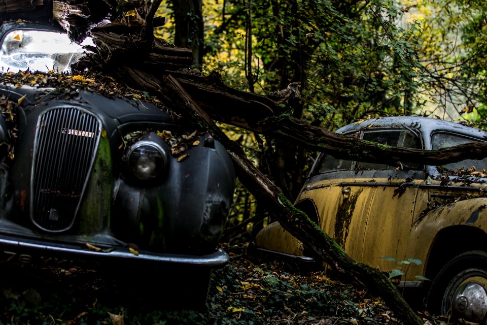 Future Nature / Lost Place Neandertal