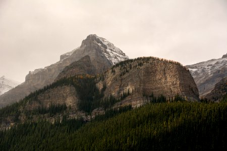 DSC 0011