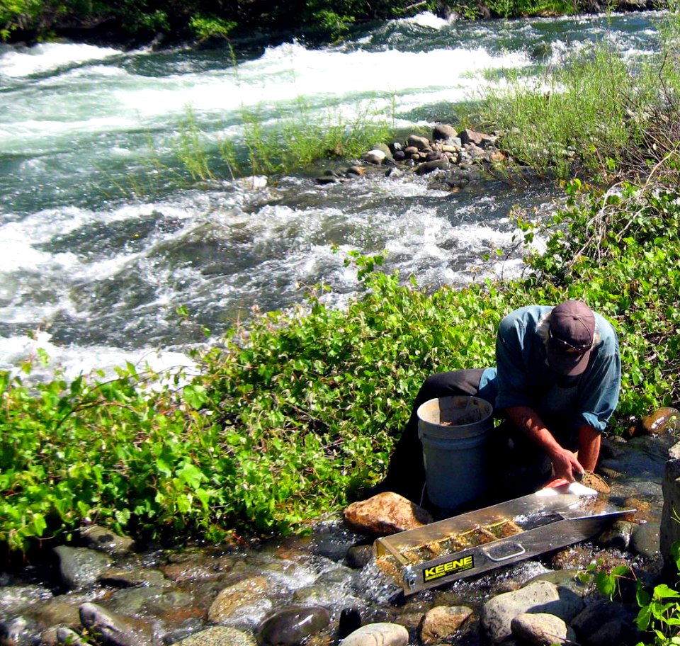 Searching for Gold on the American River
