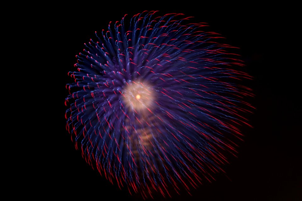 IMG 3534
