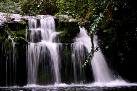 Brook Valley Stream