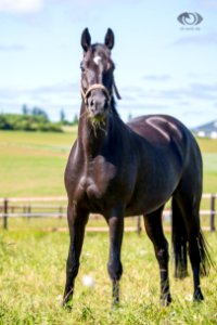 S20165133-Oliver Seitz