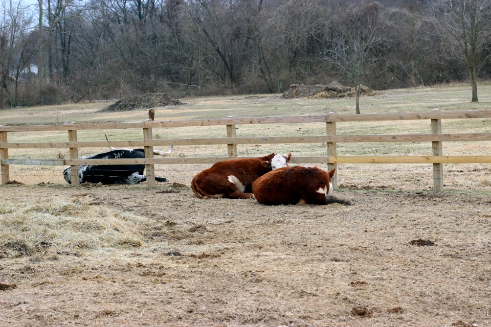 Suson Farms - February
