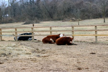 Suson Farms - February