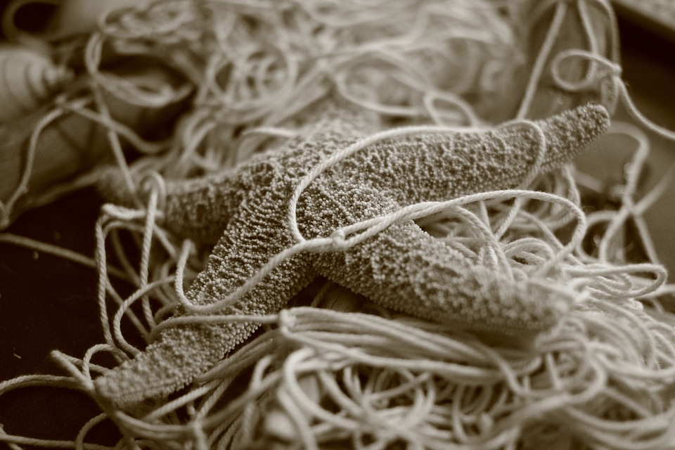 Black and white close up fishing net