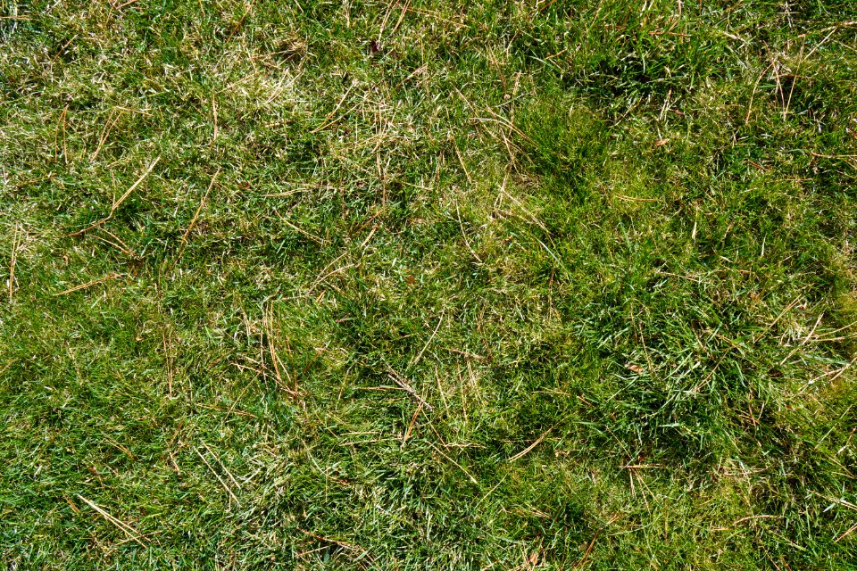 Texture  Full Resolution 6000x4000  Free to use
