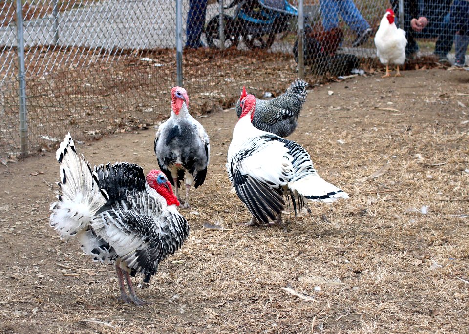 Suson Farms - February