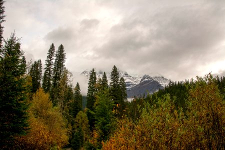 DSC 0242