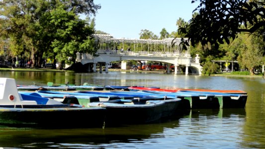 Una hermosa tarde en El Rosedal de Palermo Buenos Aires photo