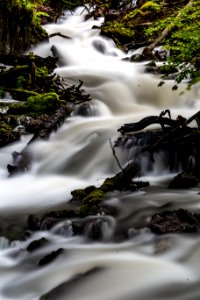 water is live, live is water