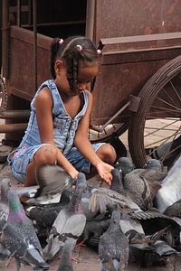 Street kid feeding photo