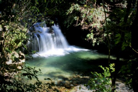 Historical Weir (Brook Waimarama Sanctuary)