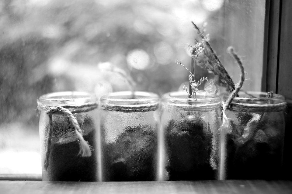 Leica Summicron-R 35mm f/2 E55