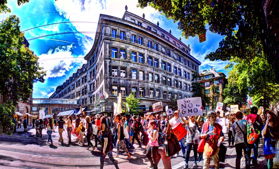 say no to gmo fuck monsanto