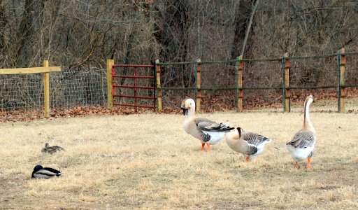 Suson Farms - February