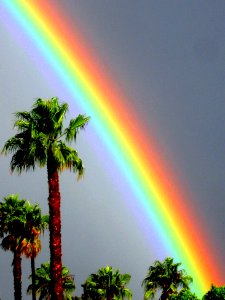 California Rainbow photo