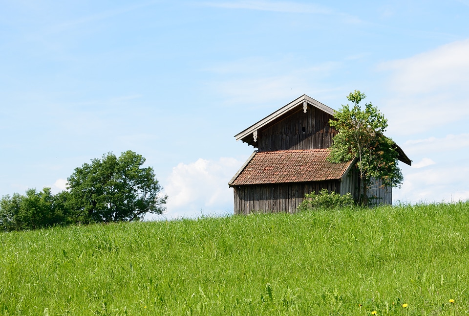 Field meadow agriculture