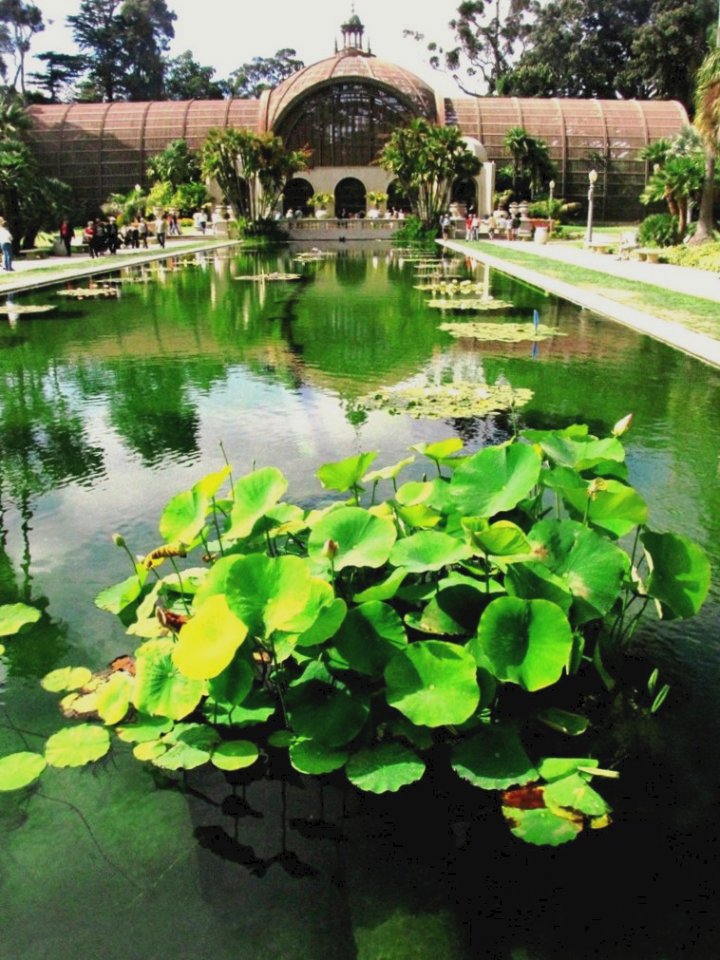 Balboa Park Botanical Green