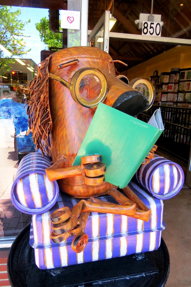 Reading a Book