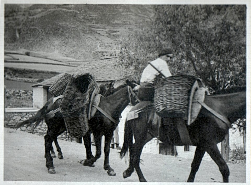 Benasque. 1936.