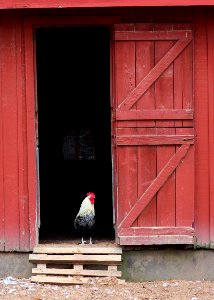 Suson Farms - February