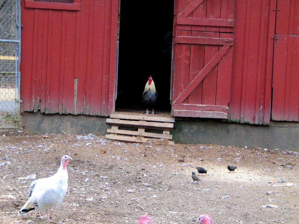 Suson Farms - February