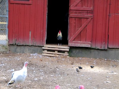 Suson Farms - February