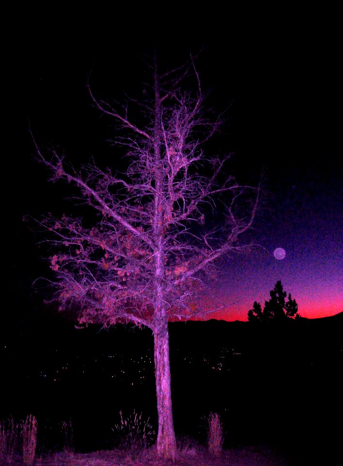 Moonglow , Bend, Oregon