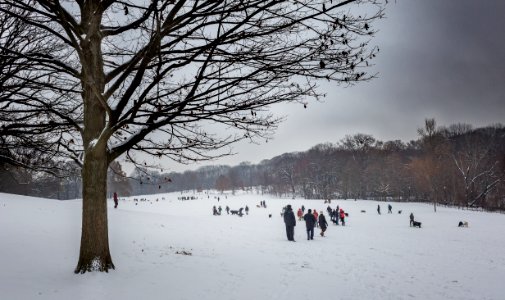 First Snow 2016 photo