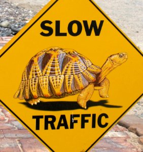 Slow Traffic photo