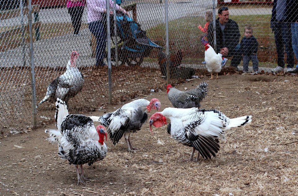 Suson Farms - February