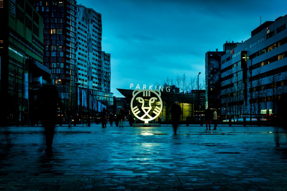 IFFR2019