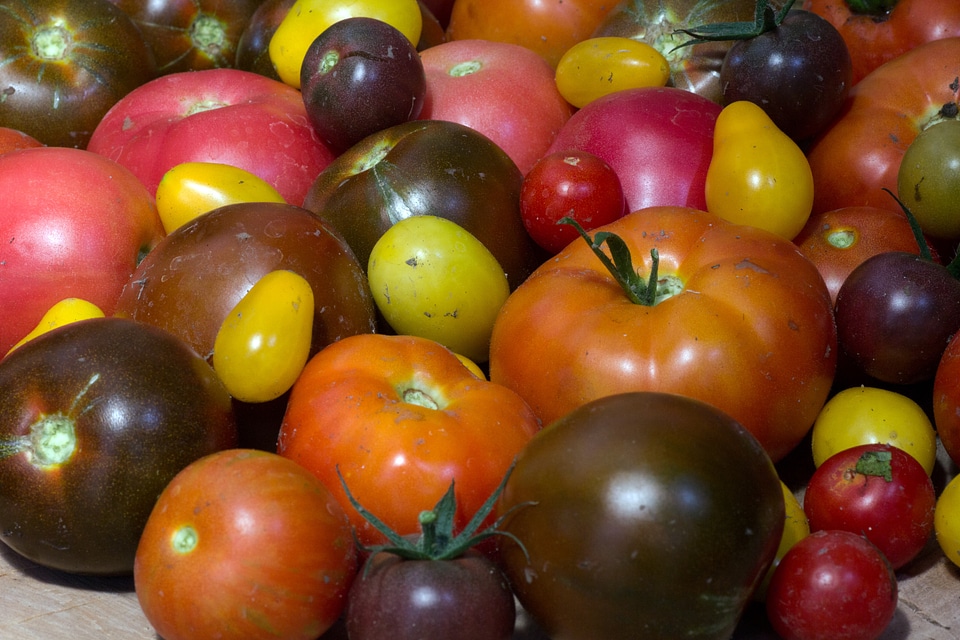 Garden harvest macro